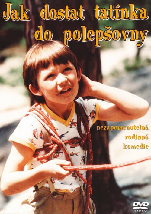 Afiche de Jak dostat tatínka do polepšovny