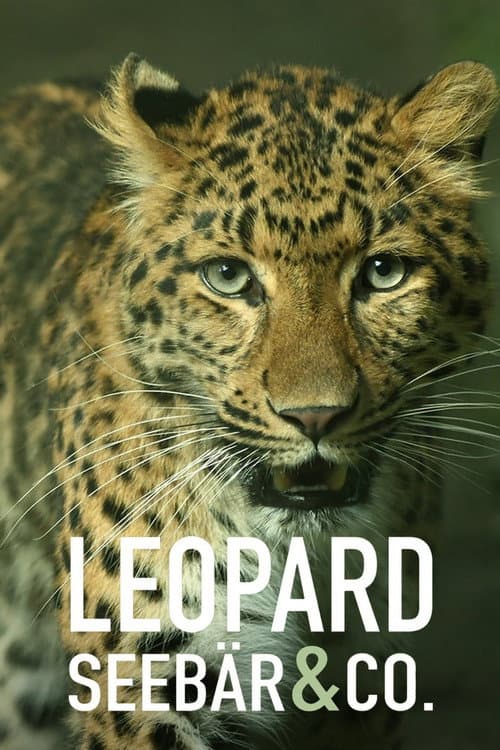 Afiche de Leopard, Seebär & Co.