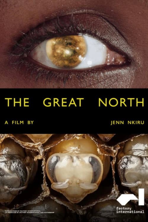 Afiche de The Great North