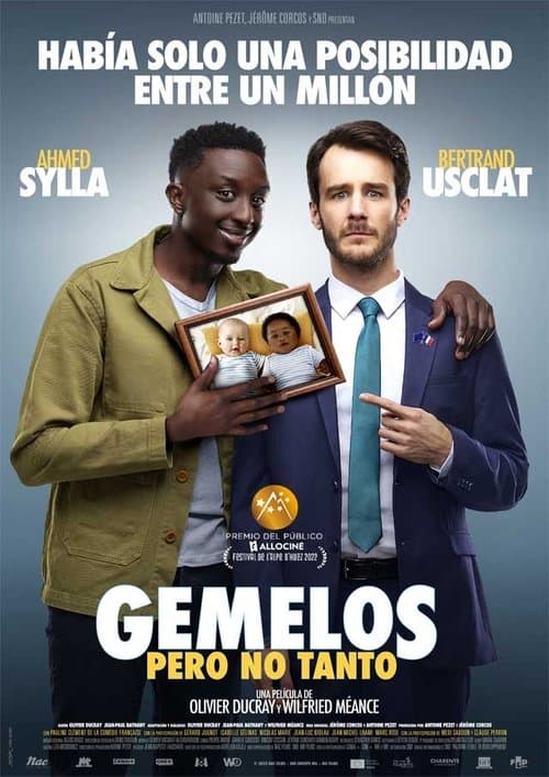 Afiche de Gemelos pero no tanto
