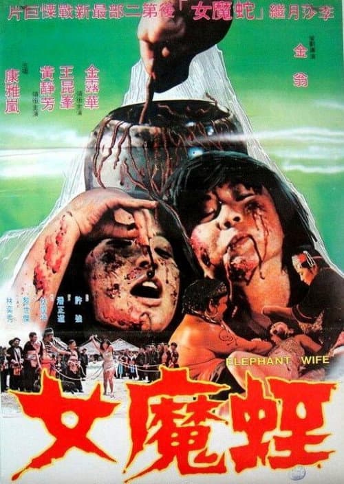 Afiche de 蛭魔女