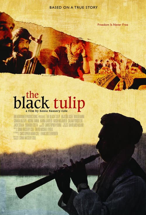 Afiche de The Black Tulip
