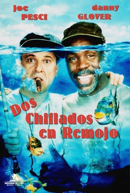 Afiche de Dos chiflados en remojo