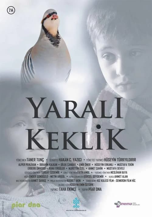 Afiche de Yaralı Keklik