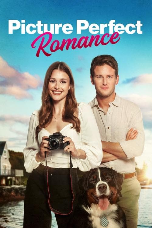 Afiche de Picture Perfect Romance