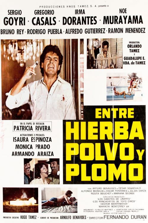 Afiche de Entre Hierba, Polvo y Plomo