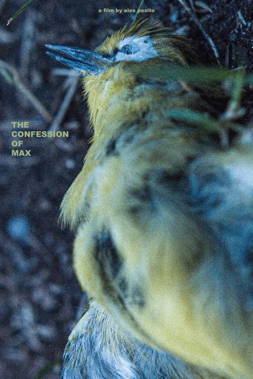 Afiche de The Confession of Max