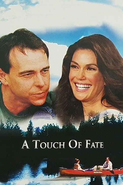 Afiche de A Touch of Fate
