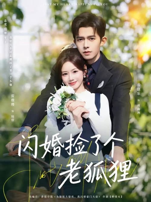 Afiche de 閃婚撿了個老狐狸