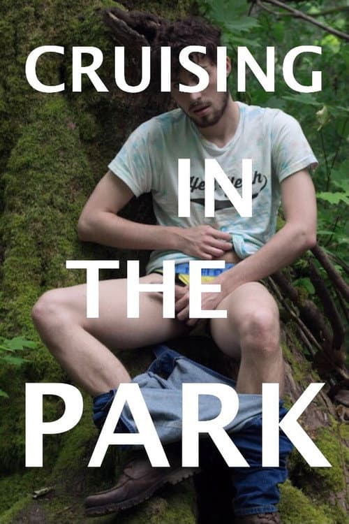 Afiche de Cruising in the Park
