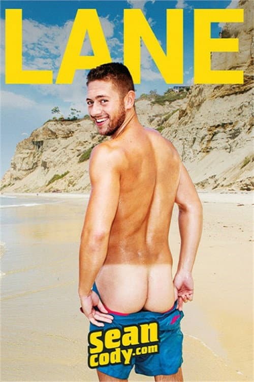 Afiche de Lane
