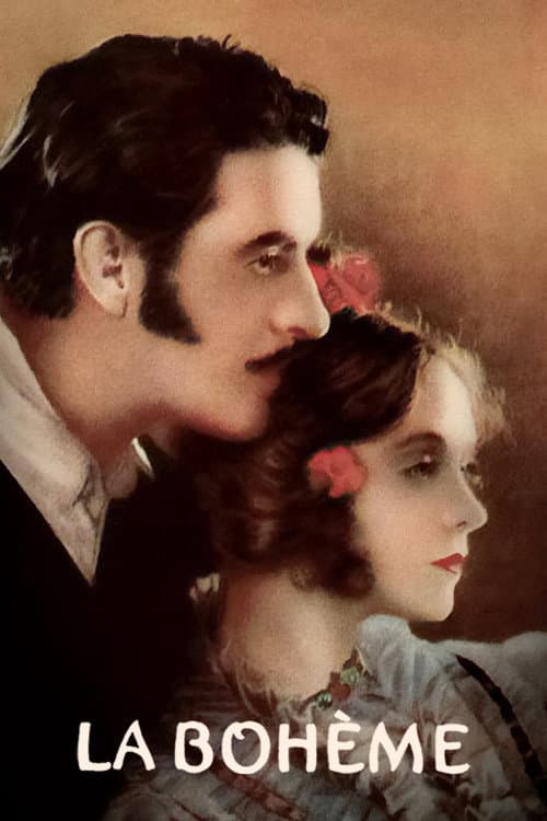 Afiche de Vida bohemia