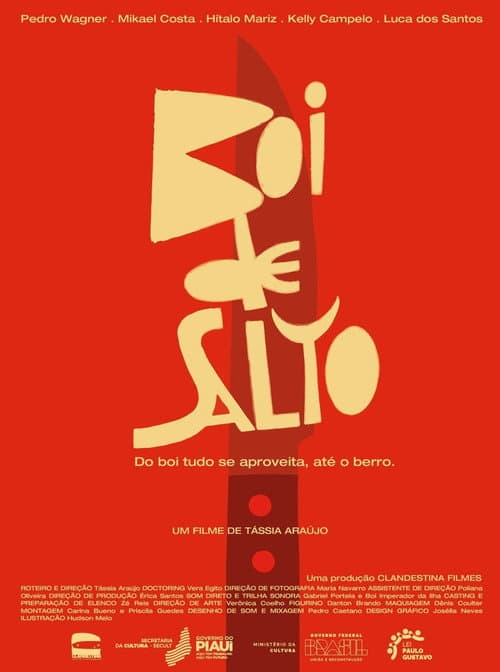 Afiche de Boi de Salto