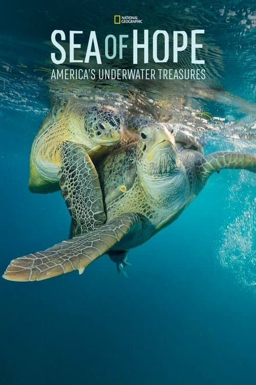 Afiche de Sea of Hope: America's Underwater Treasures