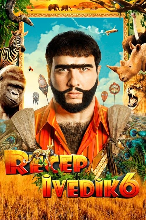 Afiche de Recep İvedik 6
