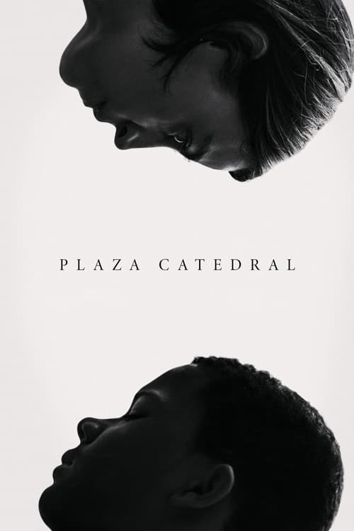 Afiche de Plaza Catedral