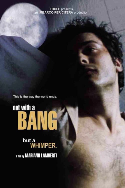 Afiche de Non con un bang