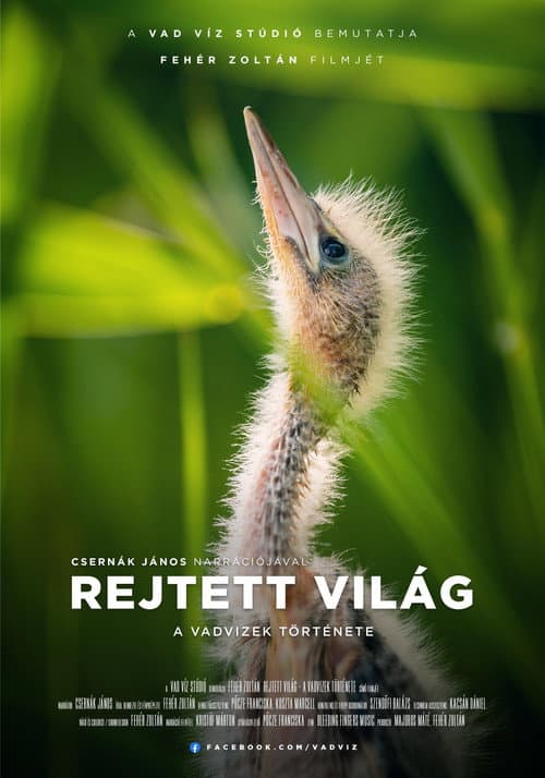 Afiche de Rejtett világ - A vadvizek története