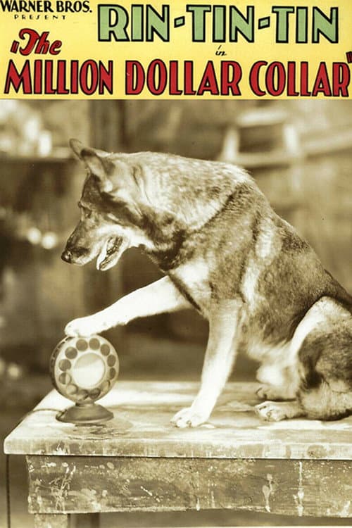 Afiche de The Million Dollar Collar
