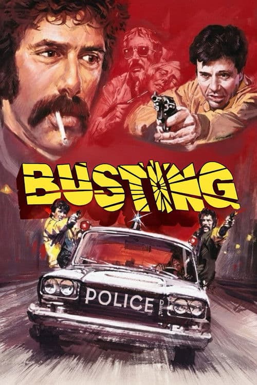 Afiche de Busting