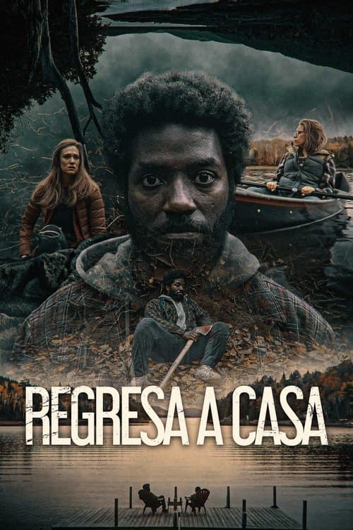 Afiche de Regresa a casa