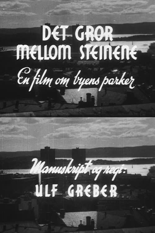 Afiche de Oslofilm: Det gror mellom steinene