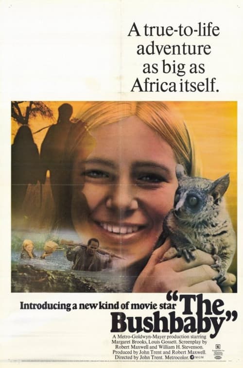 Afiche de The Bushbaby
