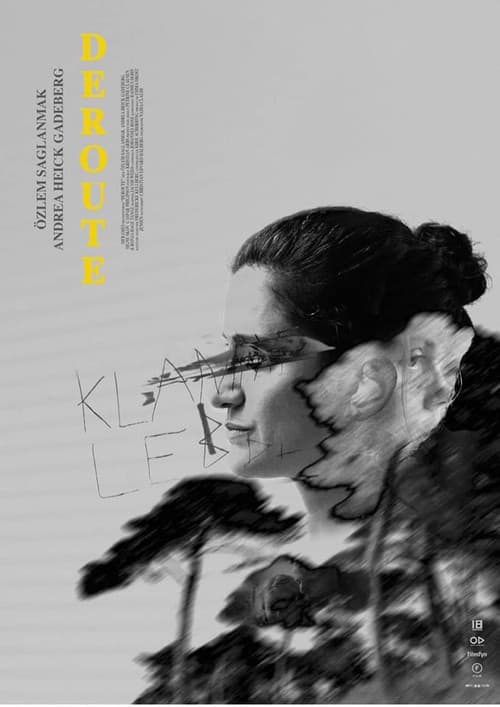 Afiche de Deroute