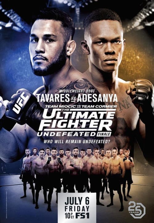 Afiche de The Ultimate Fighter 27 Finale