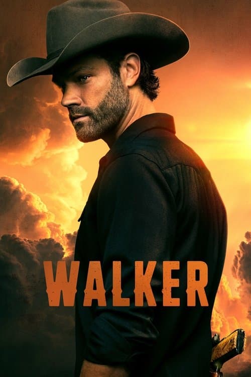 Afiche de Walker