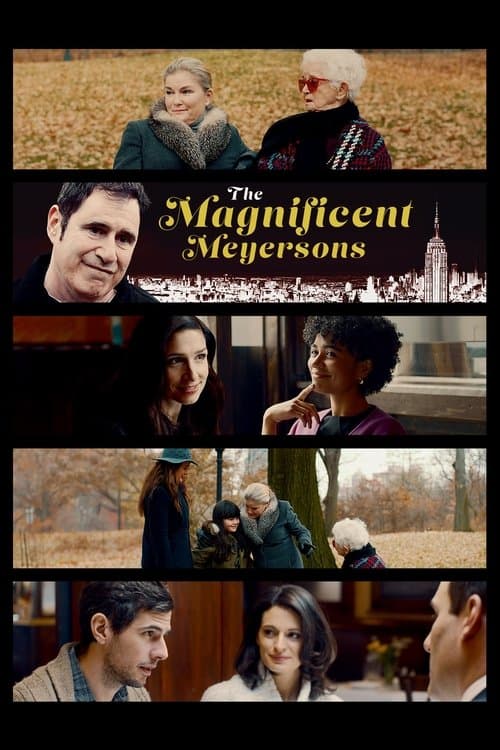Afiche de The Magnificent Meyersons