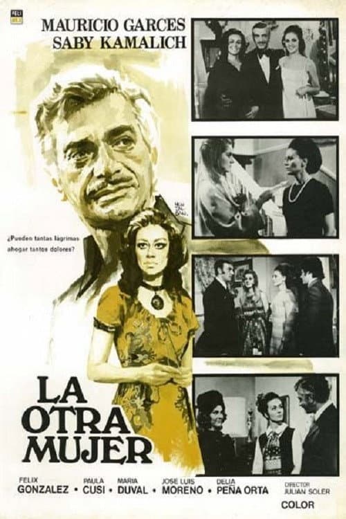 Afiche de La otra mujer