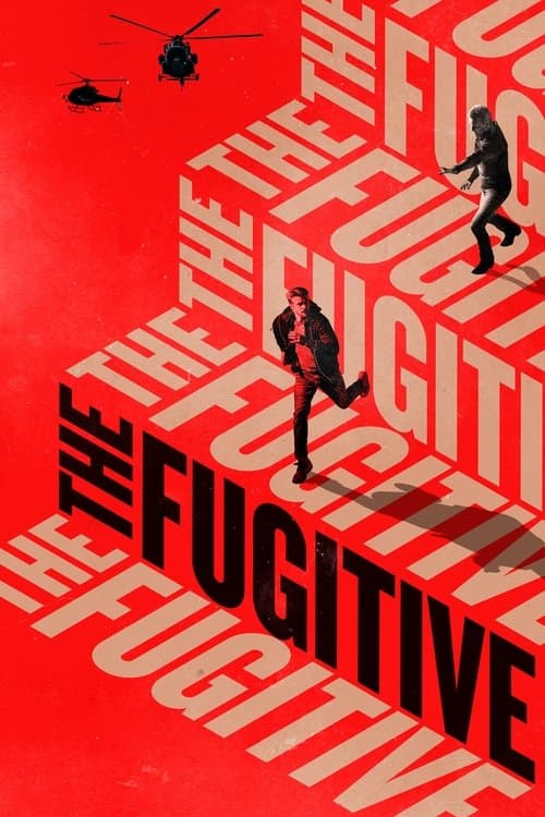 Afiche de The Fugitive
