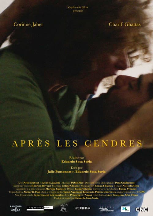 Afiche de Après les cendres