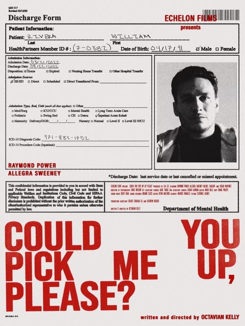 Afiche de Could You Pick Me Up, Please?