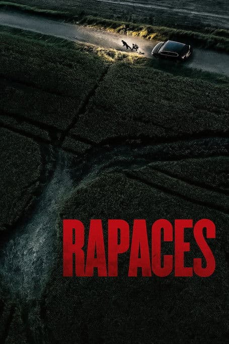 Afiche de Rapaces