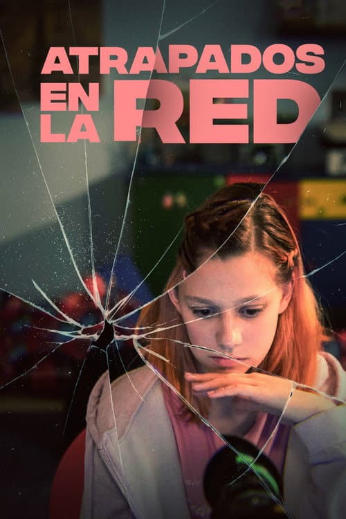 Afiche de Atrapados en la red