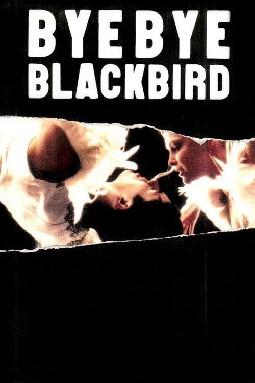 Afiche de Bye Bye Blackbird