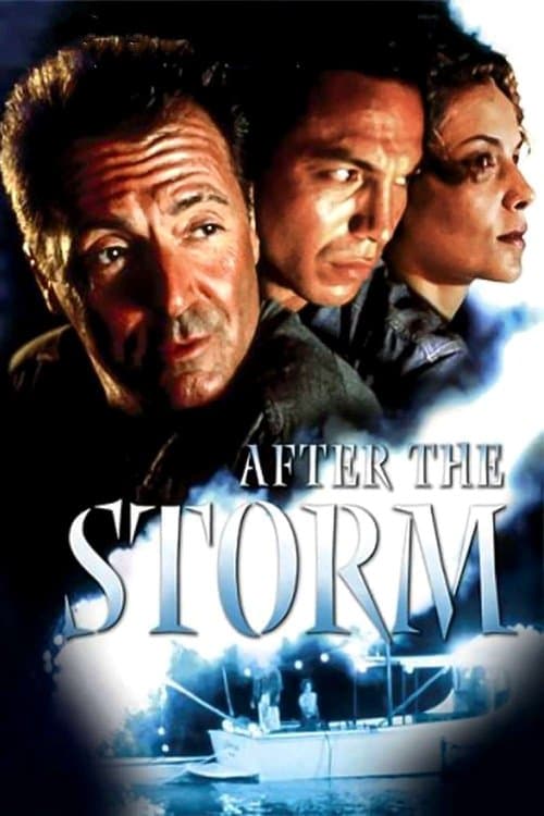 Afiche de After the Storm