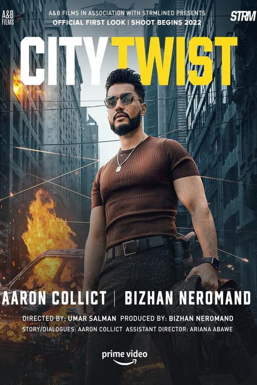 Afiche de City Twist