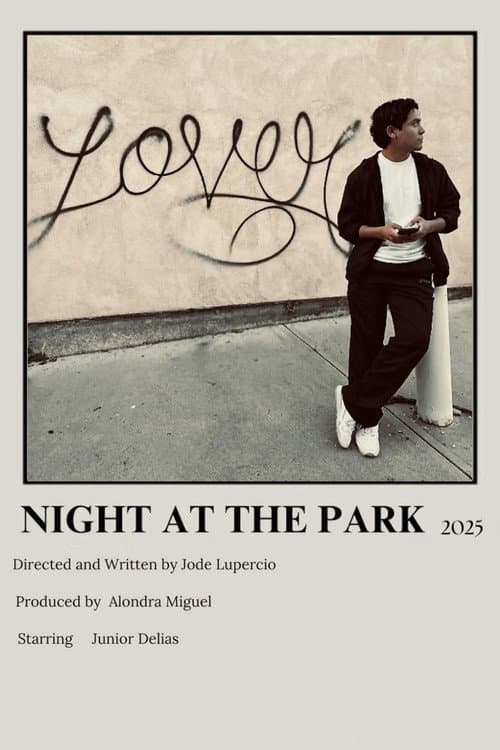 Afiche de Night at the Park