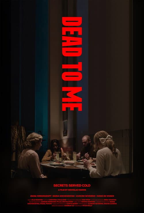 Afiche de Dead to Me