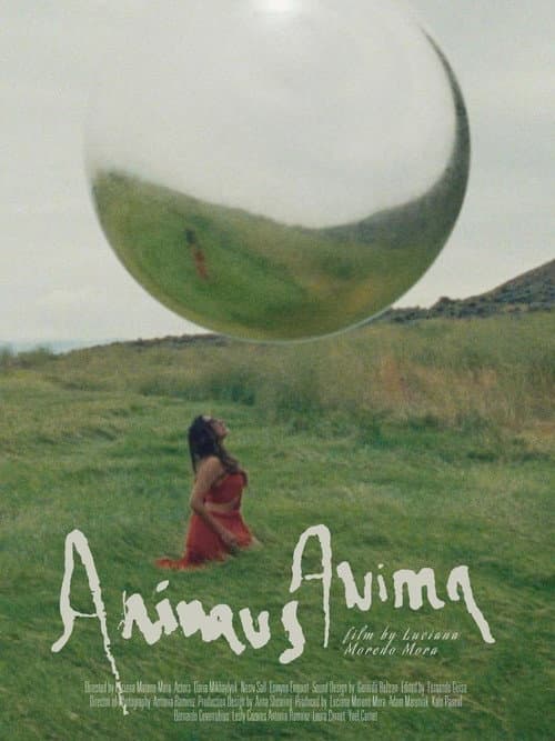 Afiche de Animus Anima