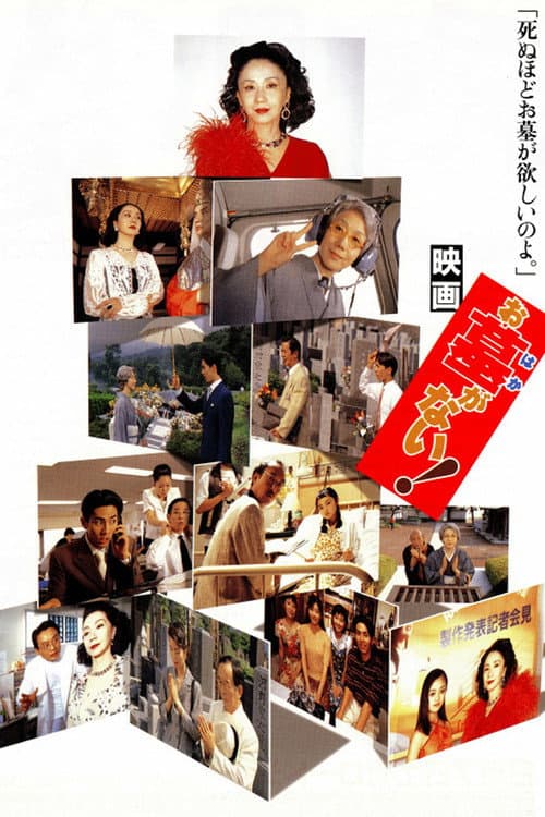 Afiche de お墓がない!