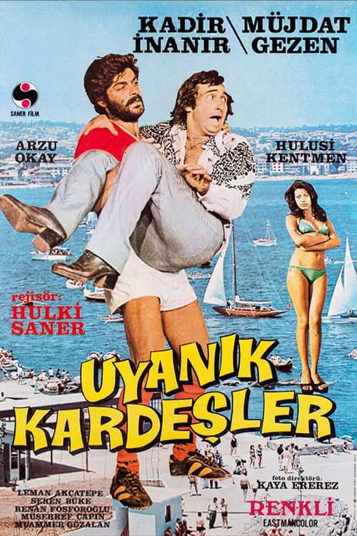 Afiche de Uyanık Kardeşler