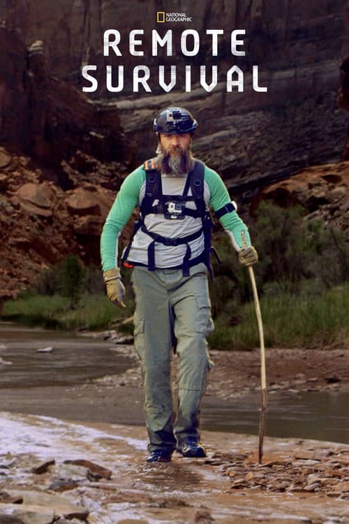 Afiche de Remote Survival