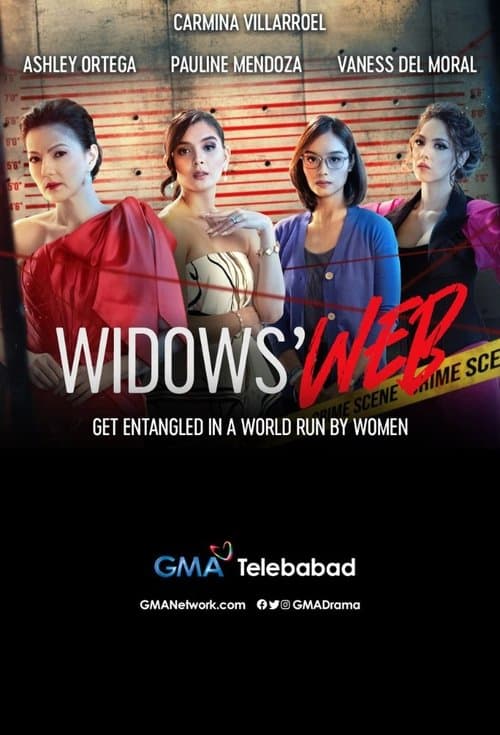 Afiche de Widows' Web