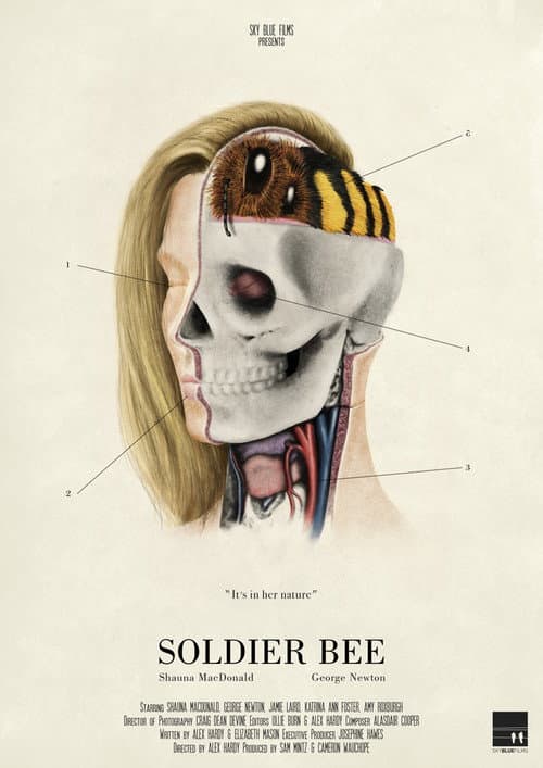 Afiche de Soldier Bee