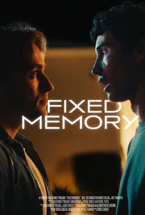 Afiche de Fixed Memory