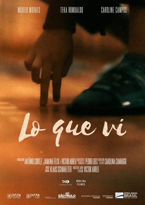 Afiche de O Que Vi